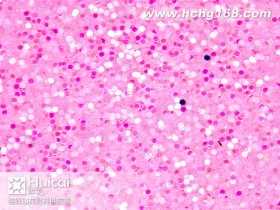 L-124#圓幻淺粉紅